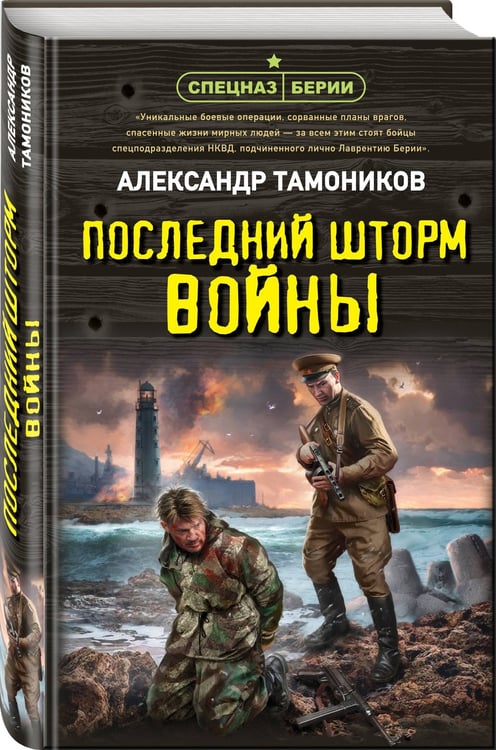 Дополнительное изображение книги «Последний шторм войны»