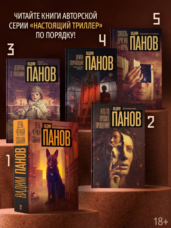Дополнительное изображение книги «Сквозь другую ночь»