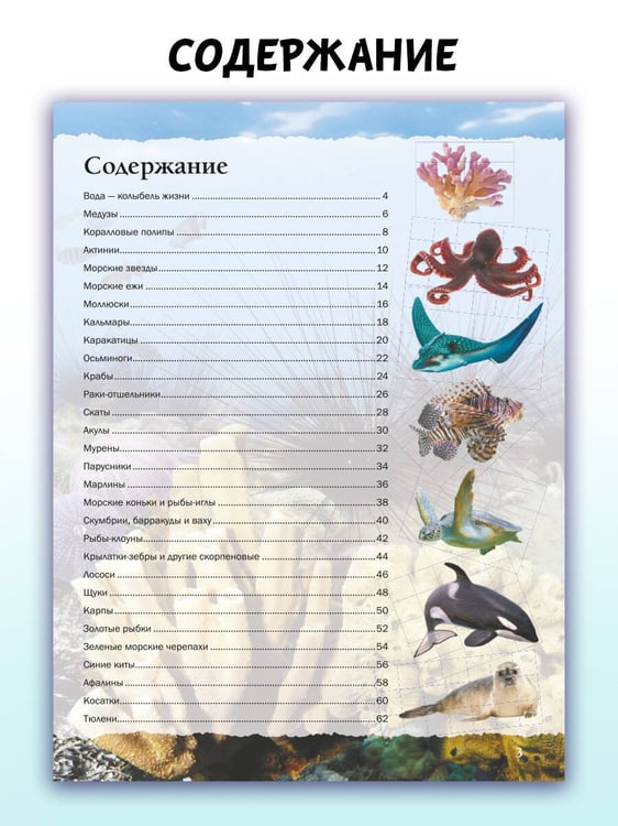 Дополнительное изображение книги «Подводный мир»