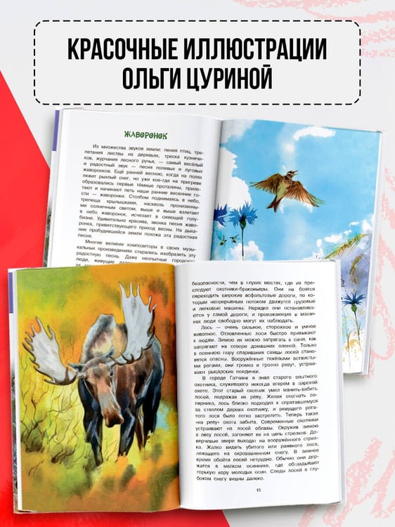 Дополнительное изображение книги «Русский лес»