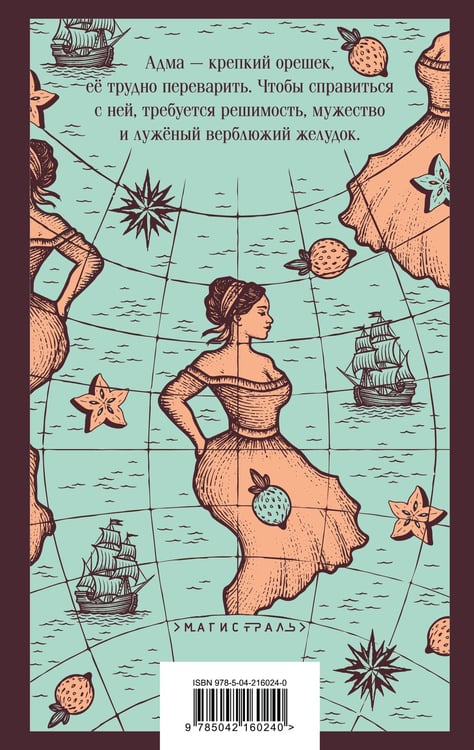 Дополнительное изображение книги «Открытие Америки турками»