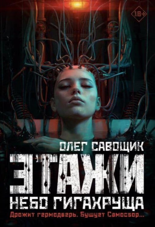 Обложка книги «Этажи. Небо Гигахруща» — Савощик Олег, ISBN 9785605302513
