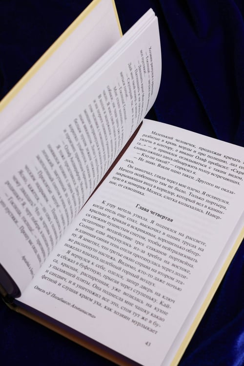 Дополнительное изображение книги «Отель "У погибшего альпиниста"»