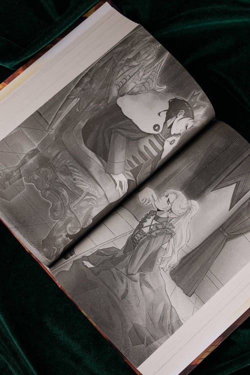 Дополнительное изображение книги «Академия драконов»