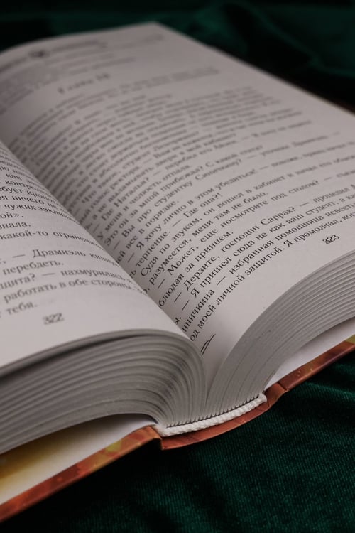 Дополнительное изображение книги «Академия драконов»