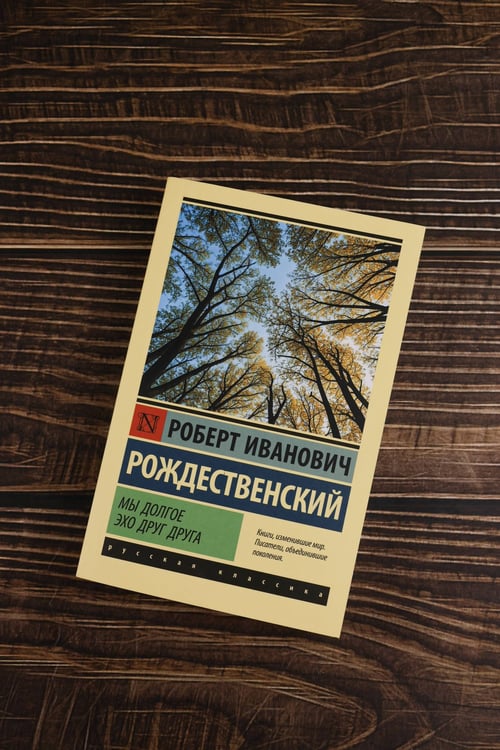 Дополнительное изображение книги «Мы долгое эхо друг друга»