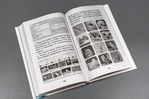 Дополнительное изображение книги «Нейросети и искусственный интеллект»