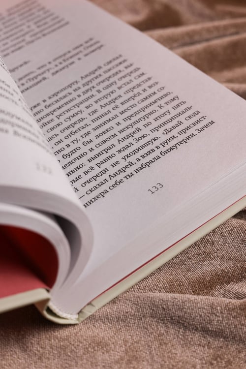 Дополнительное изображение книги «Сценаристка»