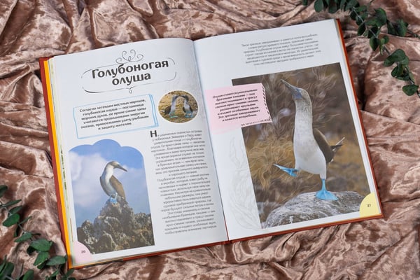 Дополнительное изображение книги «Животные»