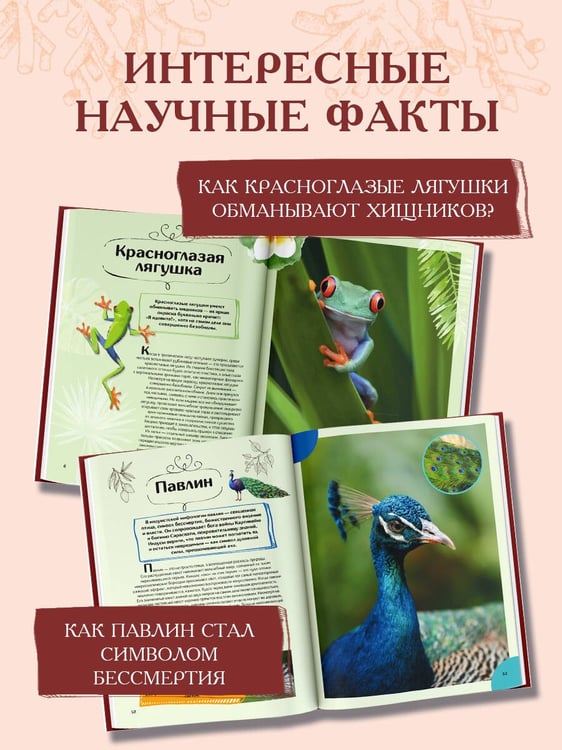 Дополнительное изображение книги «Животные»