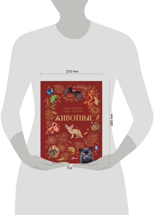 Дополнительное изображение книги «Животные»