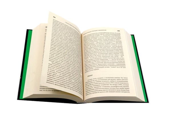 Дополнительное изображение книги «Панк-рок. Предыстория. Прогулки по дикой стороне (комплект из двух книг)»