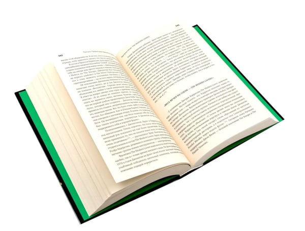 Дополнительное изображение книги «Панк-рок. Предыстория. Прогулки по дикой стороне (комплект из двух книг)»