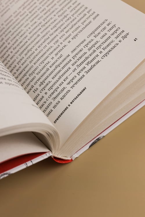 Дополнительное изображение книги «Приложение к фотоальбому»