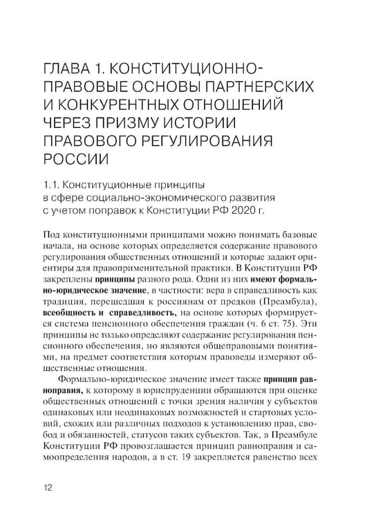 Дополнительное изображение книги «Партнерство и конкуренция предпринимателей и органов власти в РФ: конституционно-правовое регулирование»