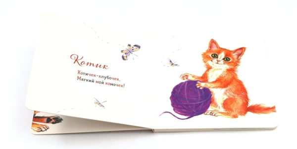 Дополнительное изображение книги «Комплект книг: три истории про котиков»