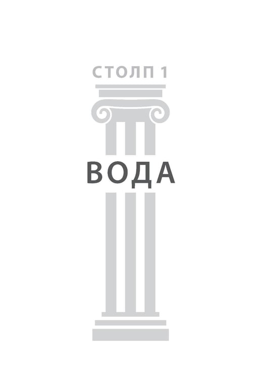 Дополнительное изображение книги «Семь столпов здоровья»