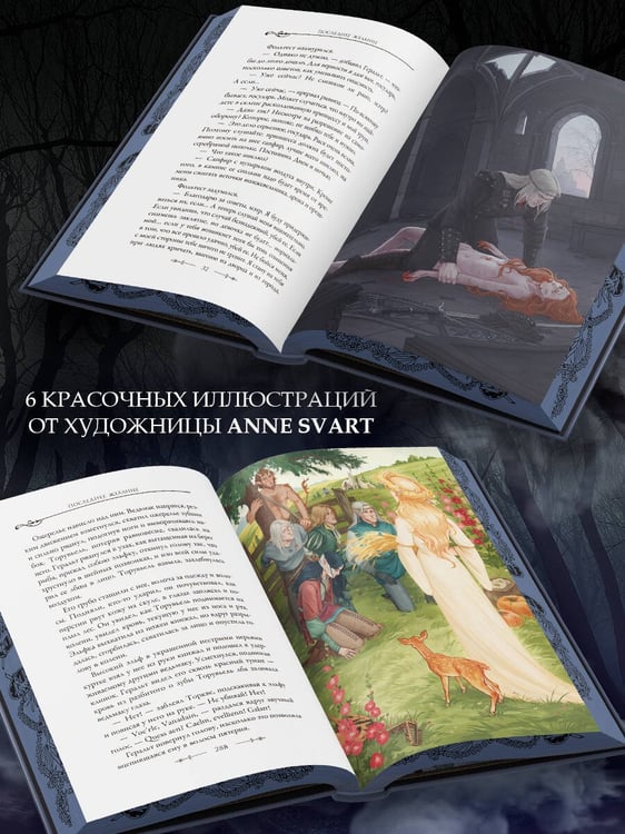 Дополнительное изображение книги «Последнее желание»