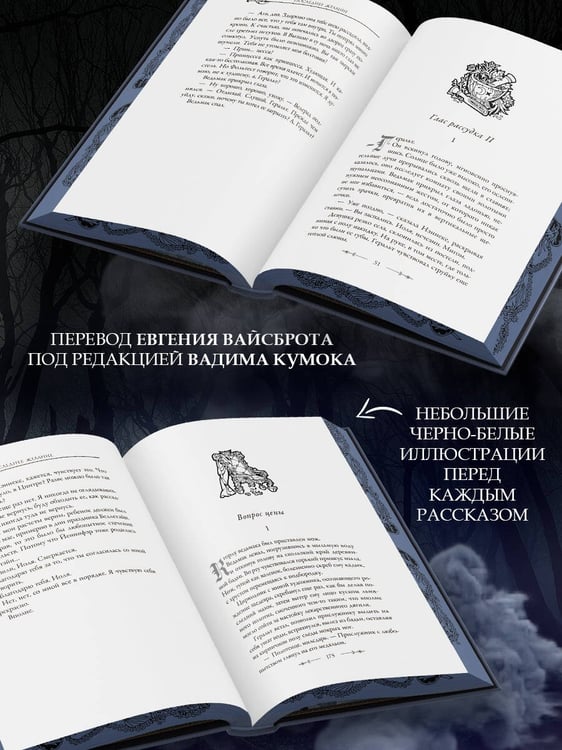 Дополнительное изображение книги «Последнее желание»