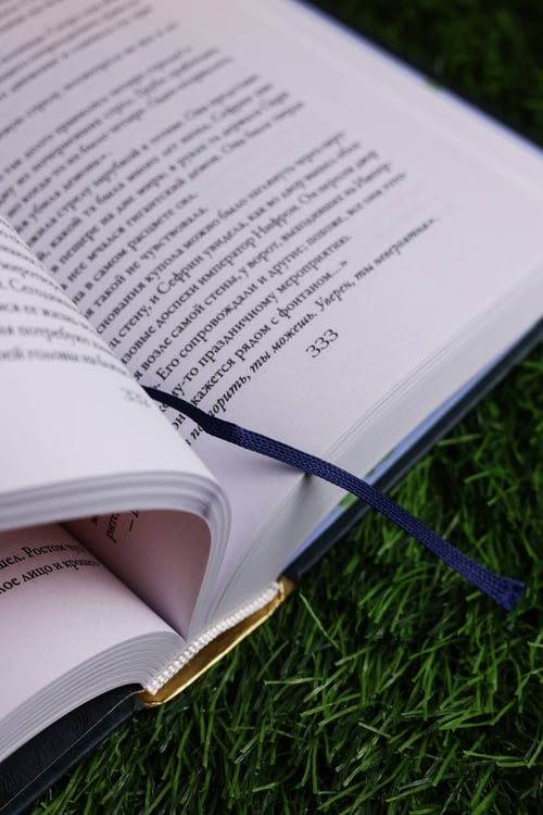 Дополнительное изображение книги «Нолин. Фарилэйн»