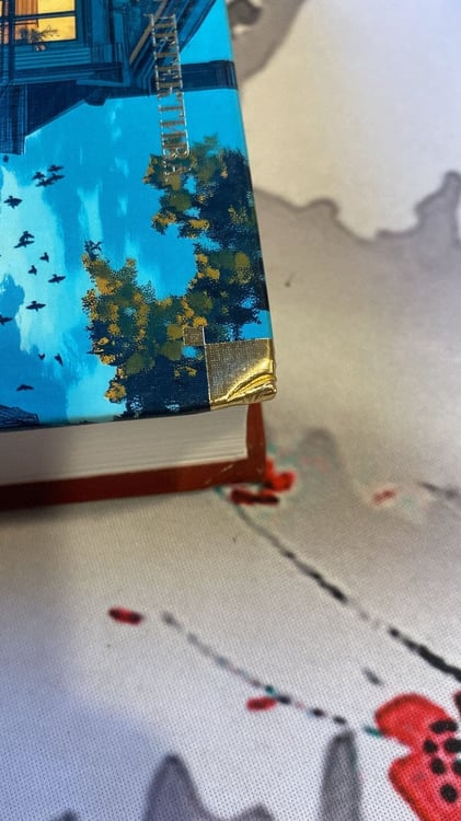 Дополнительное изображение книги «Окно Иуды»