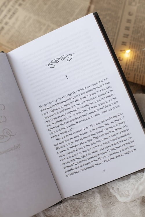 Дополнительное изображение книги «Собачье сердце. Вечные истории»