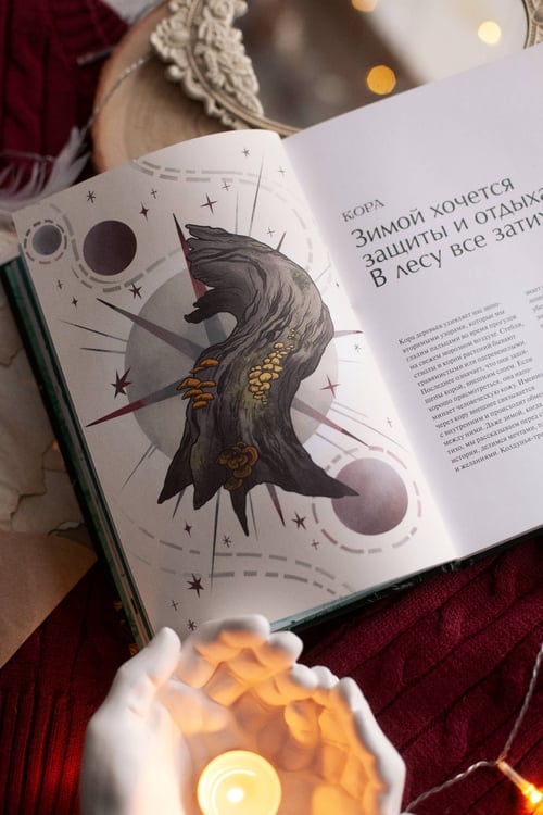 Дополнительное изображение книги «4 сезона волшебства. Тайные послания и рецепты, нашептанные лесом»