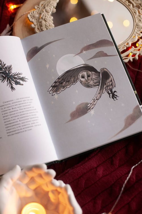 Дополнительное изображение книги «4 сезона волшебства. Тайные послания и рецепты, нашептанные лесом»