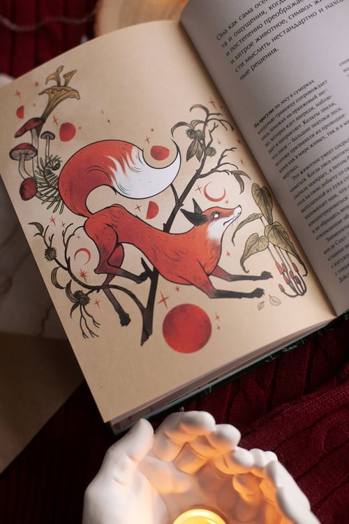 Дополнительное изображение книги «4 сезона волшебства. Тайные послания и рецепты, нашептанные лесом»