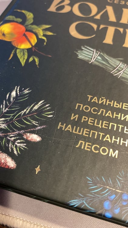 Дополнительное изображение книги «4 сезона волшебства. Тайные послания и рецепты, нашептанные лесом»