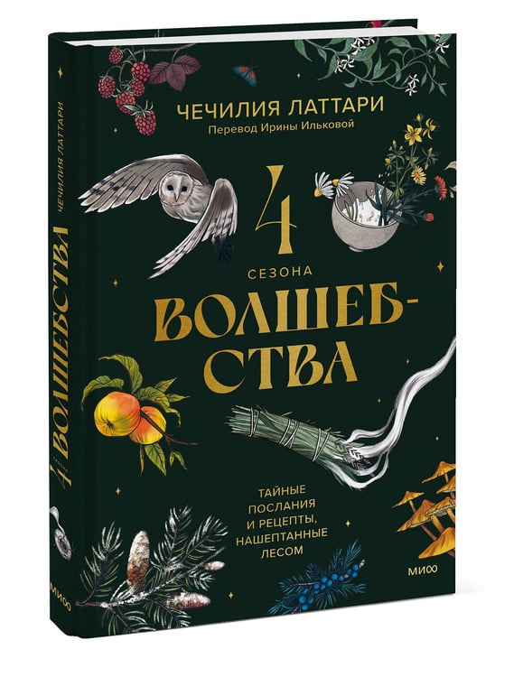 Дополнительное изображение книги «4 сезона волшебства. Тайные послания и рецепты, нашептанные лесом»