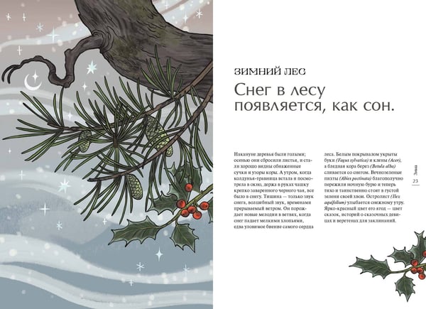 Дополнительное изображение книги «4 сезона волшебства. Тайные послания и рецепты, нашептанные лесом»