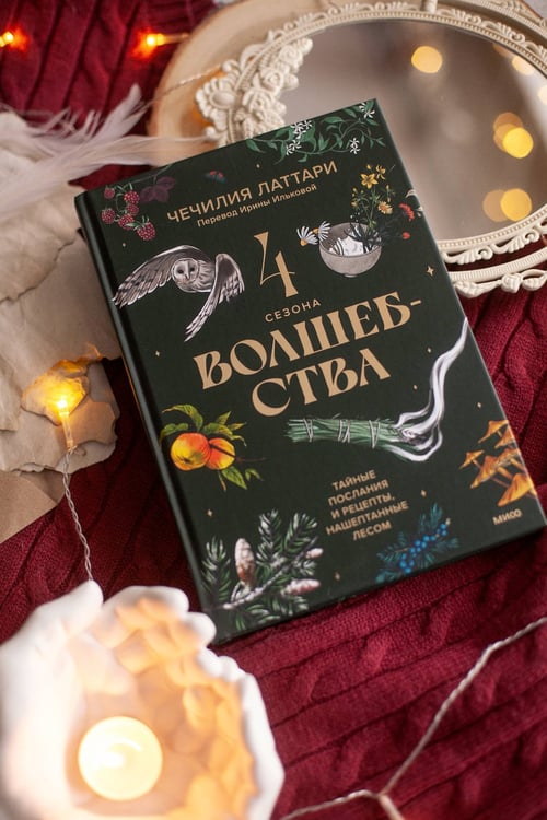 Дополнительное изображение книги «4 сезона волшебства. Тайные послания и рецепты, нашептанные лесом»