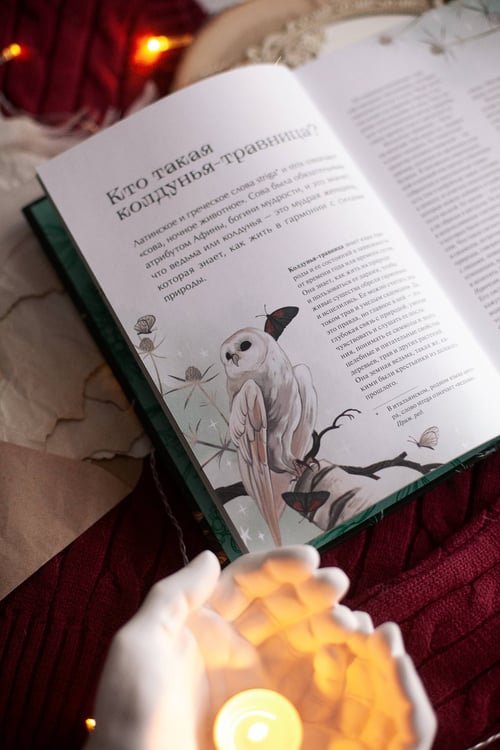 Дополнительное изображение книги «4 сезона волшебства. Тайные послания и рецепты, нашептанные лесом»