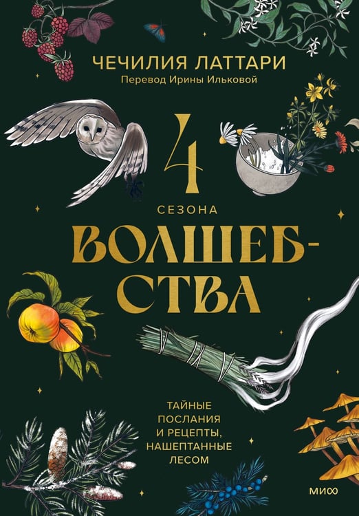 Обложка книги «4 сезона волшебства. Тайные послания и рецепты, нашептанные лесом» — Латтари Сесилия, ISBN 9785002142774