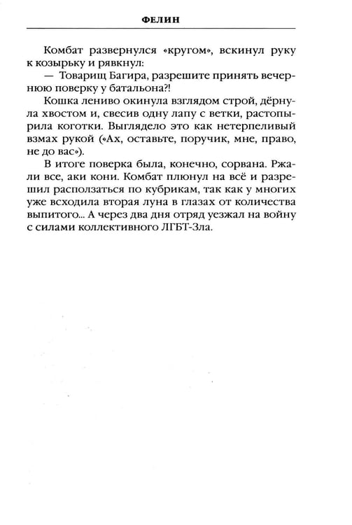 Дополнительное изображение книги «Фелин»