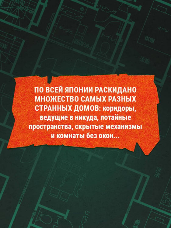 Дополнительное изображение книги «Странный дом 2»