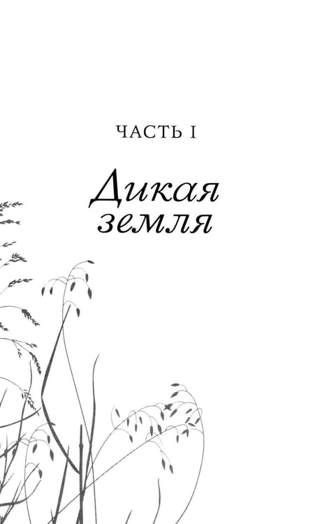 Дополнительное изображение книги «О пионеры!»