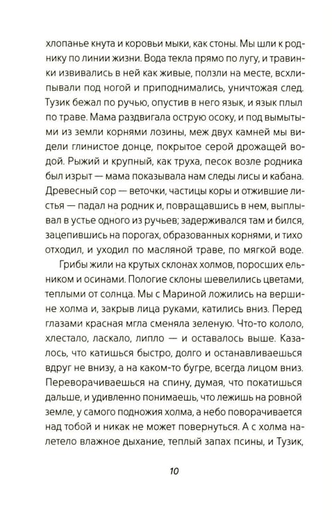 Дополнительное изображение книги «Цыганкино кольцо, красная смальта»