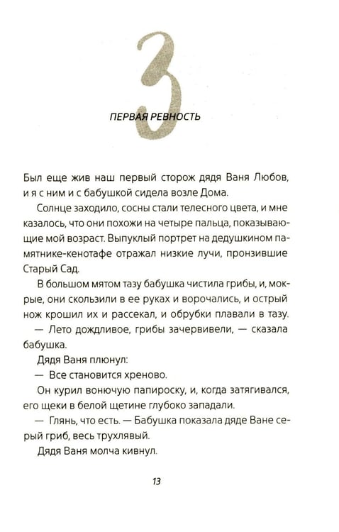 Дополнительное изображение книги «Цыганкино кольцо, красная смальта»
