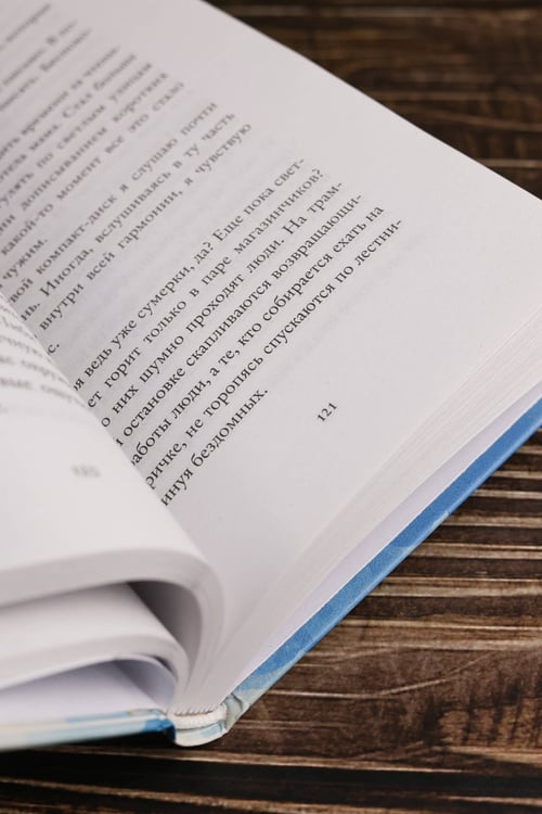 Дополнительное изображение книги «Уроки греческого»
