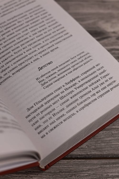 Дополнительное изображение книги «Борьба с демоном»