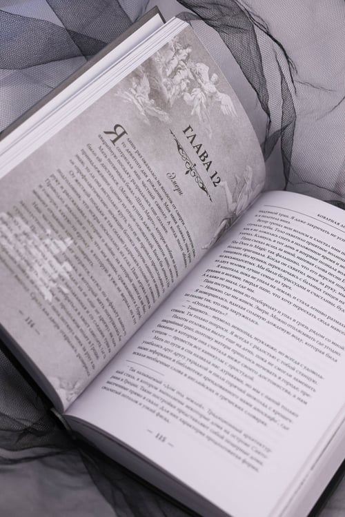 Дополнительное изображение книги «Коварная ложь»