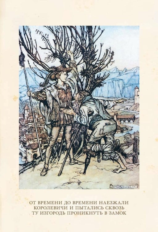 Дополнительное изображение книги «Сказки»