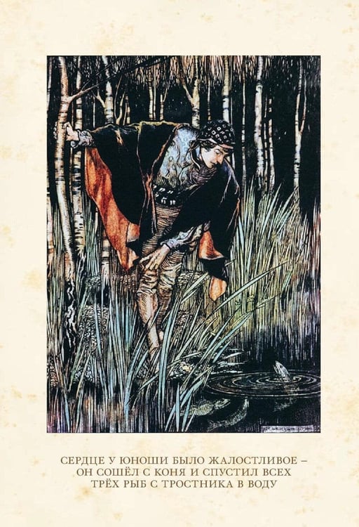 Дополнительное изображение книги «Сказки»