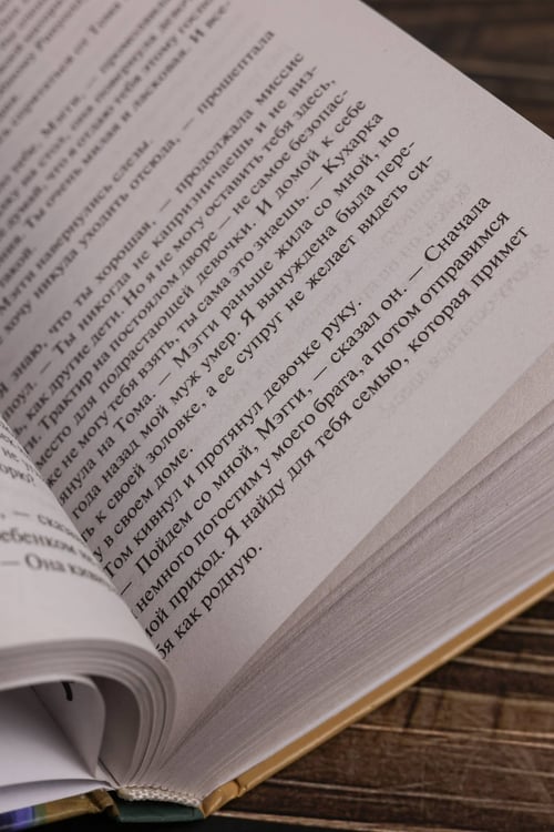 Дополнительное изображение книги «Изящная месть»