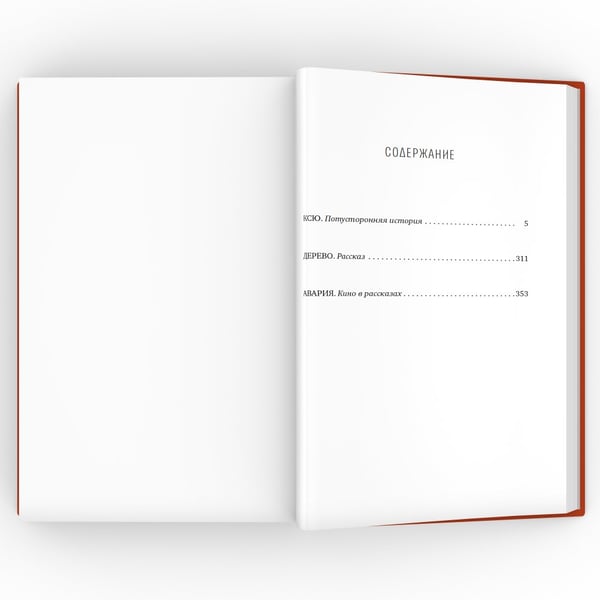 Дополнительное изображение книги «Ксю»