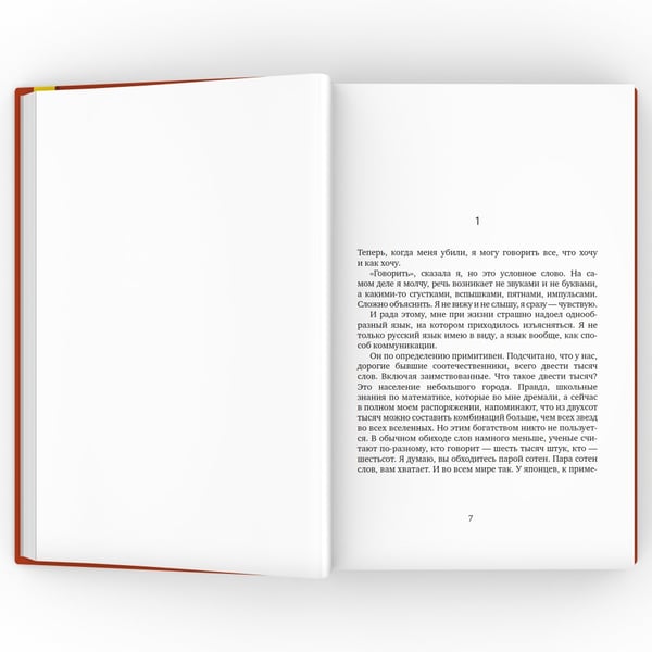 Дополнительное изображение книги «Ксю»