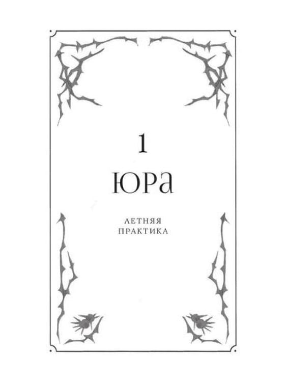 Дополнительное изображение книги «Калинов мост (эксклюзив)»