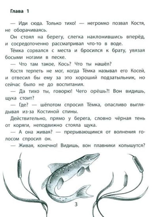 Дополнительное изображение книги «Щука»